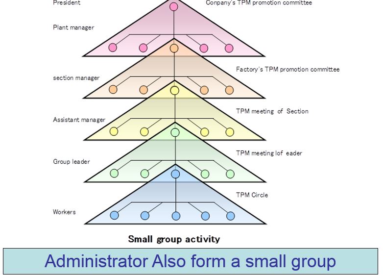 online chromatin structure and function levels of